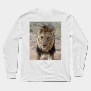 Portrait of a lion Long Sleeve T-Shirt